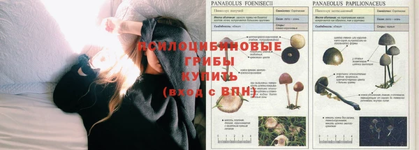 прущая мука Алексин