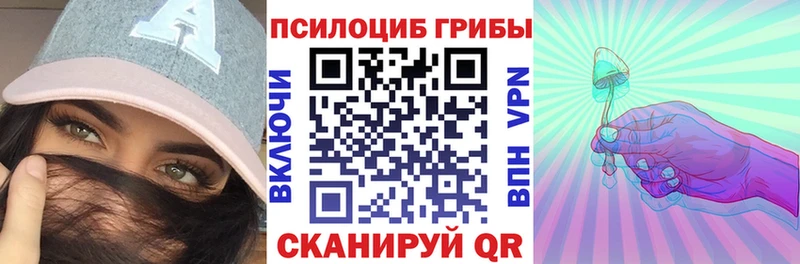 Галлюциногенные грибы Psilocybine cubensis ОМГ ОМГ онион Кизел